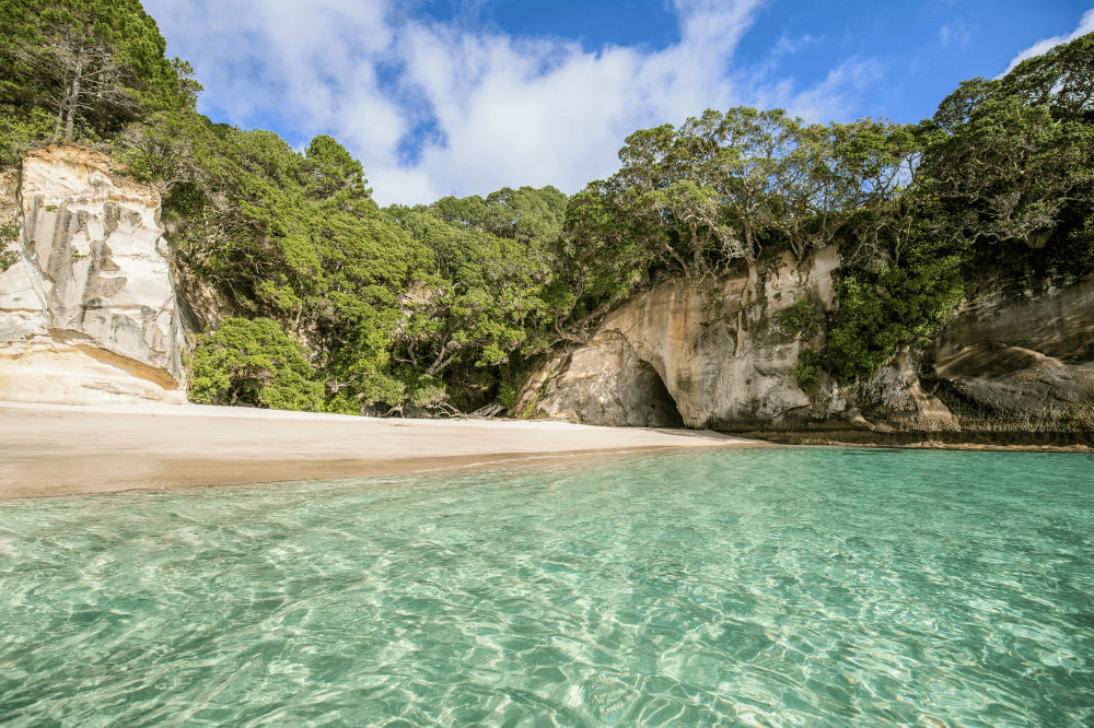 A cove with crystal clear water and white sand. The surrounding rocks are lined with green trees