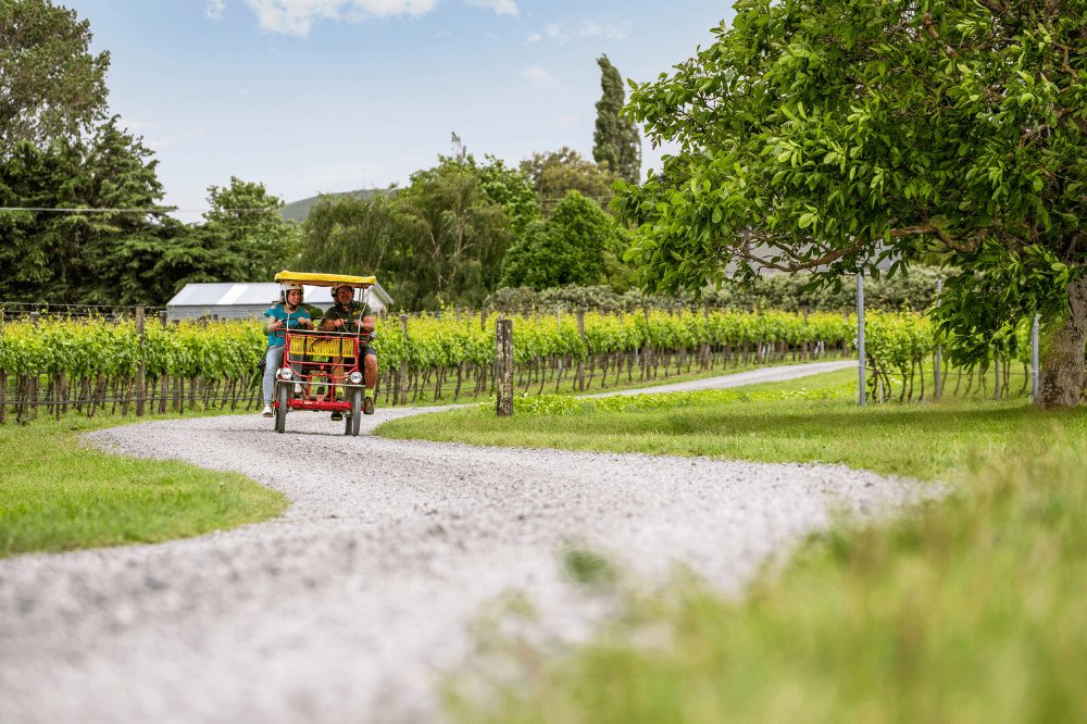 Two people riding on a pedal cart through vineyards.