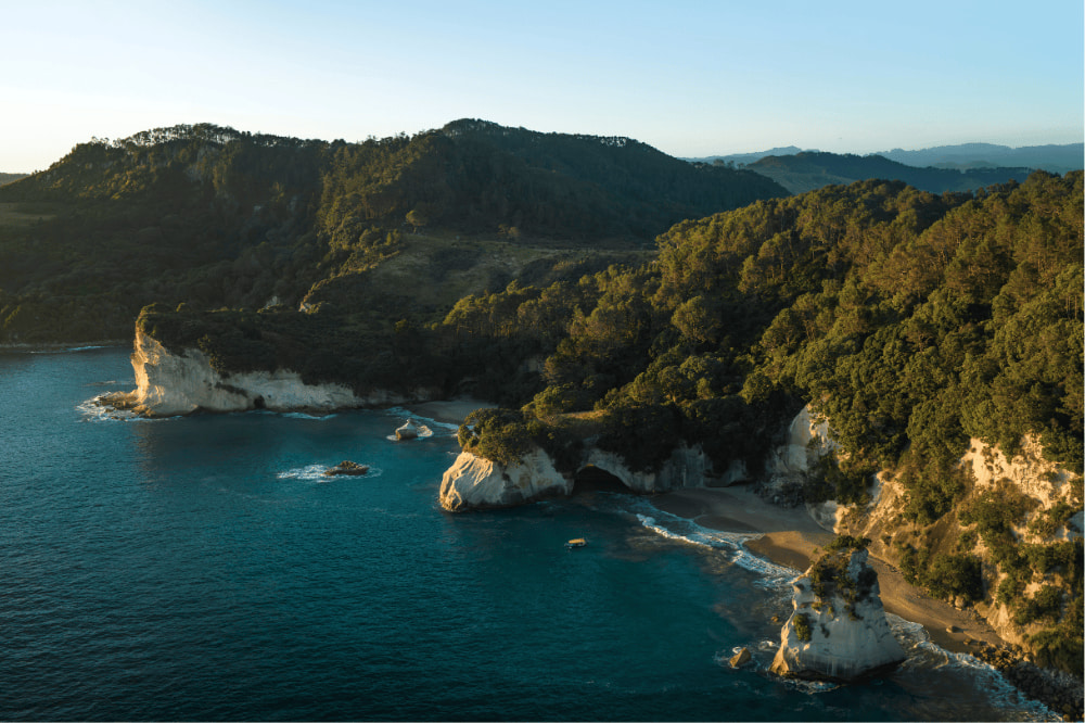 An aerial view of Cathedral Cove with blue ocean and rocky cliffs with green trees