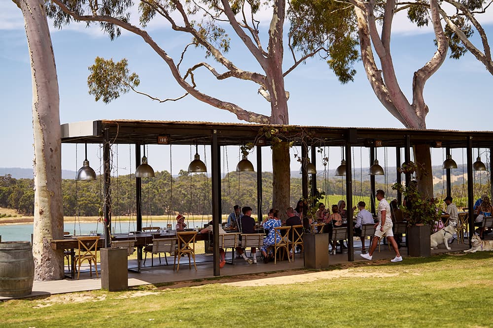 A long table on a grassy area overlooks blue water surrounded by gum trees