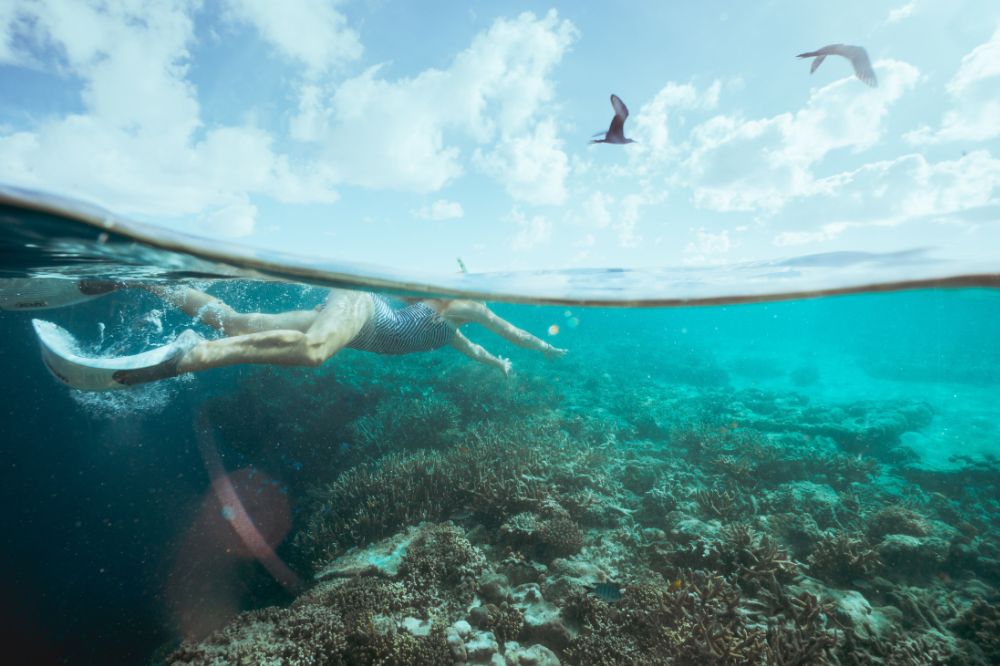 A person with flippers on their feet swims in clear turquoise water with a reef below and birds flying above