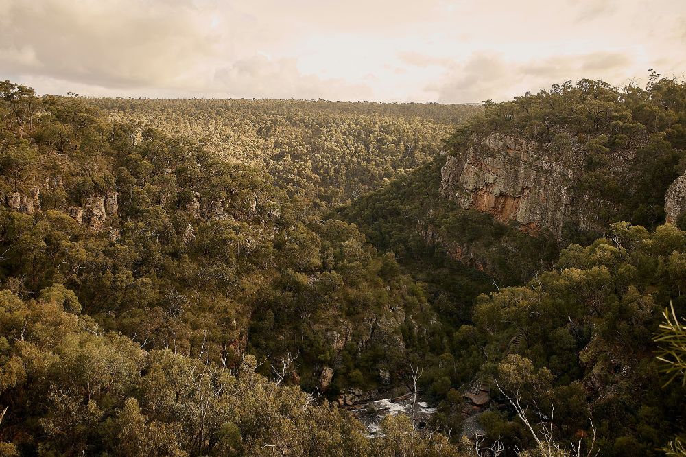 A scenic range of mountains and hills covered in green trees.
