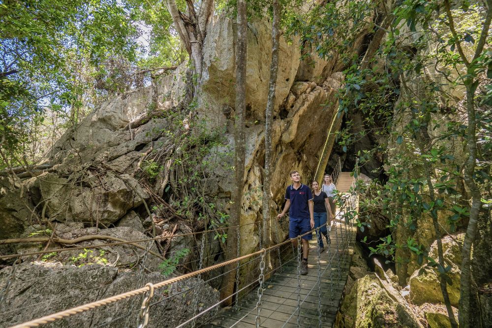 People walk along a suspension bridge surrounded by high rocks and green trees.
