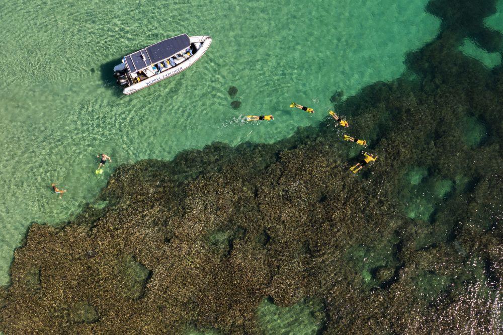 An aerial view of people snorkelling over a reef. A boat floats in clear water.