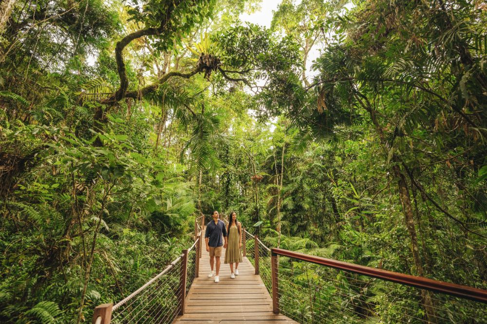 Two people walk along a boardwalk in the tree tops of a green rainforest