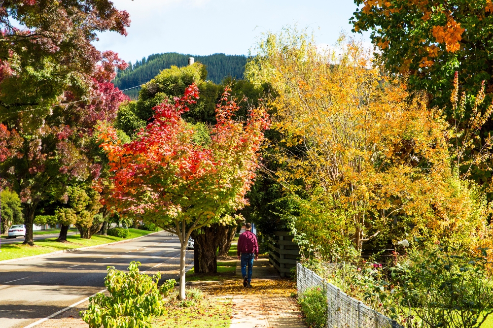 A street lined in colourful autumn leaves