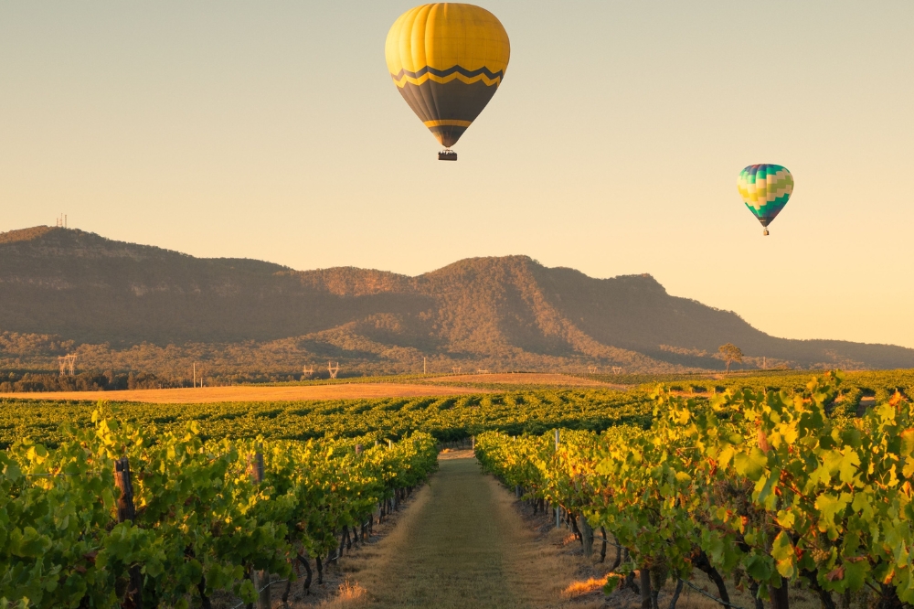 Hot air balloons float above rows of vineyards