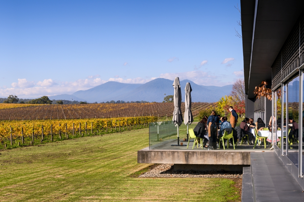 People sit outside at a winery, the vines in the background are yellowing with the autumn weather