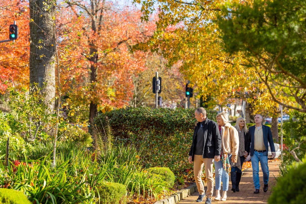 A group of people walk along a path with autumn leaves hanging above them