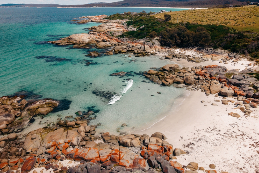 The view of a rocky beach from above. The water is clear blue and the rocks are covered in red