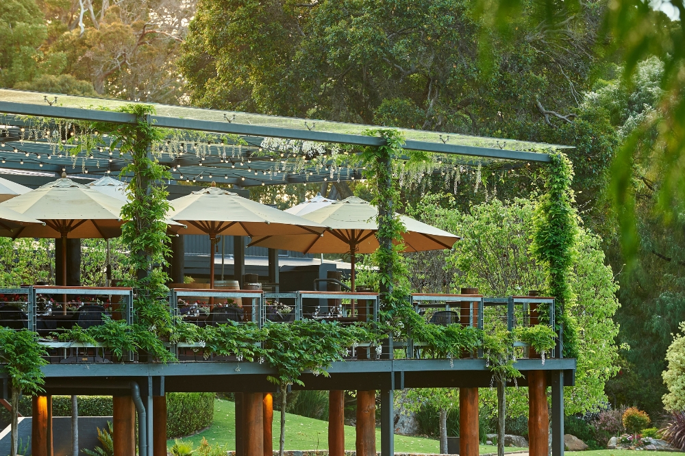 A deck at a winery covered in greenery with tables and umbrellas on the deck