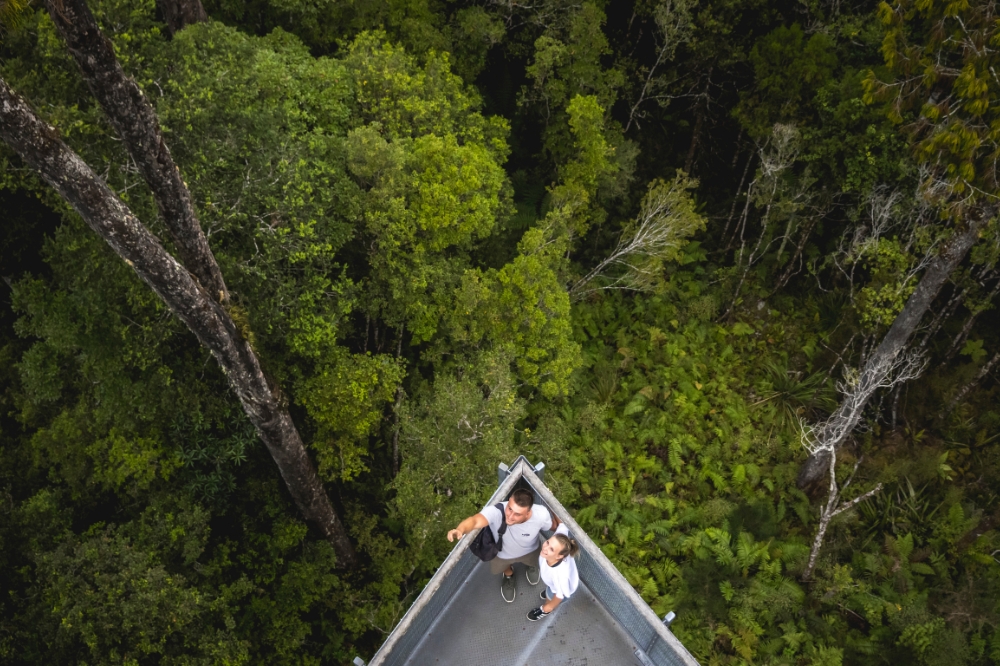 Two people standing on a viewing platform over a rainforest with greenery on the forest floor