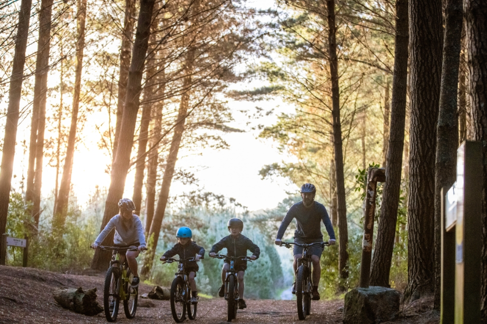 A family ride bikes through a forest with tall trees