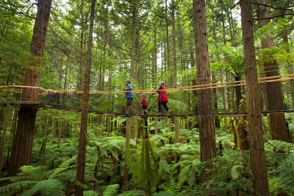 A family walk across a tree walk, surrounded by greenery