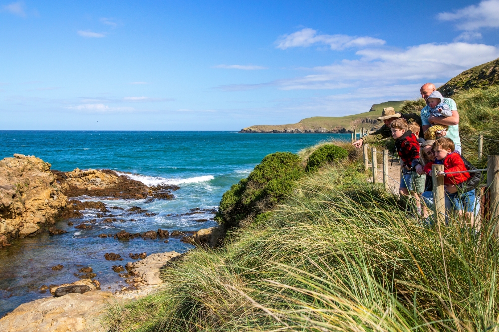 A family look at a beach from a path