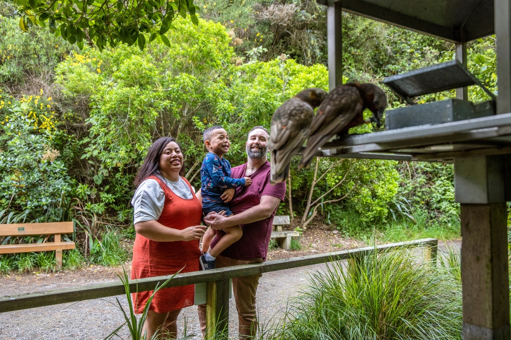 A family look at birds in an enclosure